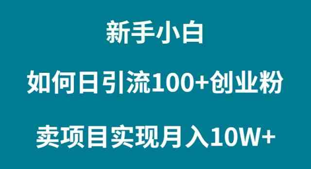 （9556期）新手小白如何通过卖项目实现月入10W+-网创资源库