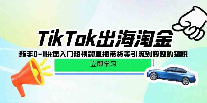 （10035期）TikTok-出海淘金，新手0-1快速入门短视频直播带货等引流到变现的知识-网创资源库