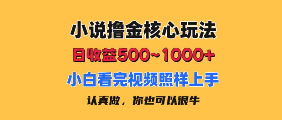 小说撸金核心玩法，日收益500-1000+，小白看完照样上手，0成本有手就行-网创资源库