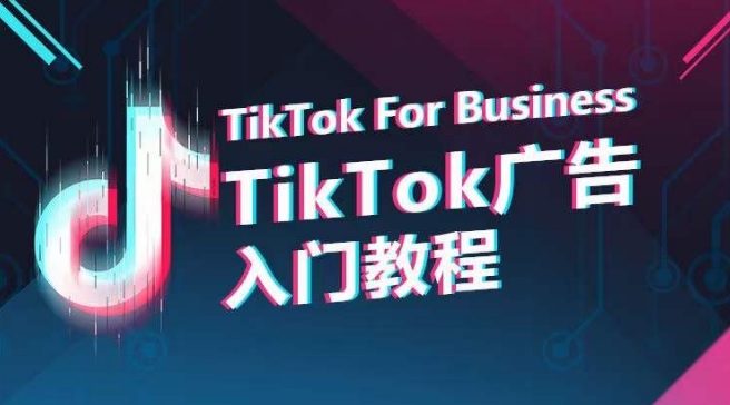 TikTok广告入门教程，从0到1掌握TikTok投放的全流程-网创资源库