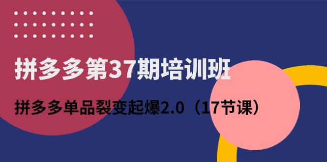 拼多多第37期培训班：拼多多单品裂变起爆2.0（17节课）-网创资源库