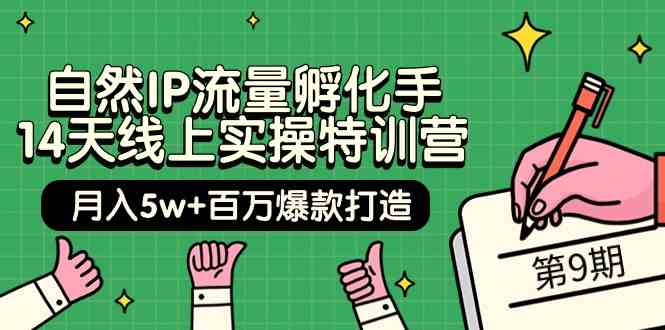 （9881期）自然IP流量孵化手 14天线上实操特训营【第9期】月入5w+百万爆款打造 (74节)-网创资源库