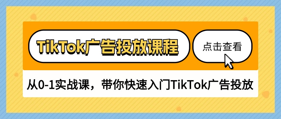 TikTok广告投放课程，从0-1实战课，带你快速入门TikTok广告投放（30节课）-网创资源库