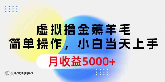 （9864期）虚拟撸金薅羊毛，简单操作，小白当天上手，月收益5000+-网创资源库