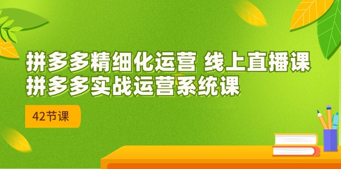 拼多多精细化运营 线上直播课：拼多多实战运营系统课（更新47节）-网创资源库