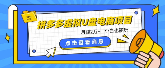 拼多多虚拟U盘电商红利项目：月赚2万+，新手小白也能玩-网创资源库