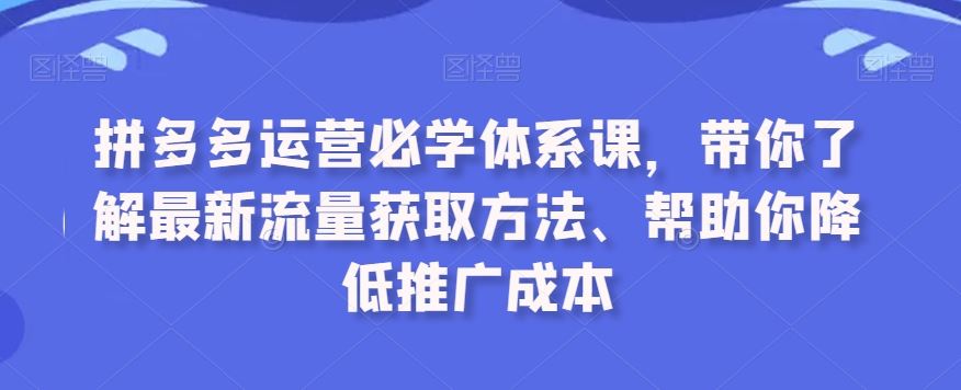 拼多多运营必学体系课，带你了解最新流量获取方法、帮助你降低推广成本-网创资源库