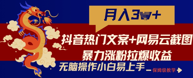 抖音热门文案+网易云截图暴力涨粉拉爆收益玩法，小白无脑操作，简单易上手-网创资源库