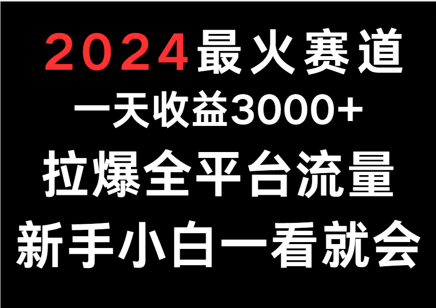 2024最火赛道，一天收一3000+.拉爆全平台流量，新手小白一看就会-网创资源库