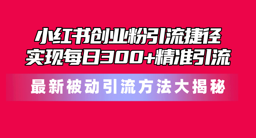 （10692期）小红书创业粉引流捷径！最新被动引流方法大揭秘，实现每日300+精准引流-网创资源库