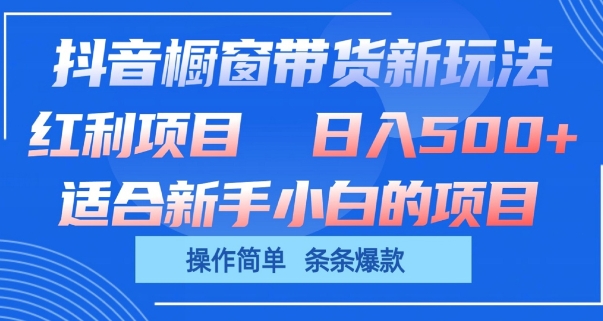 抖音橱窗带货新玩法，单日收益几张，操作简单，条条爆款-网创资源库