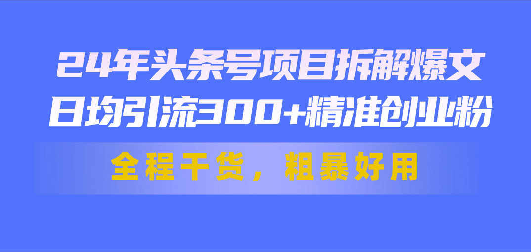 24年头条号项目拆解爆文，日均引流300+精准创业粉，全程干货，粗暴好用-网创资源库