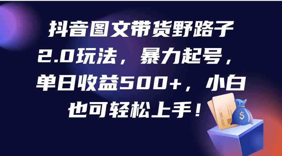 （9790期）抖音图文带货野路子2.0玩法，暴力起号，单日收益500+，小白也可轻松上手！-网创资源库