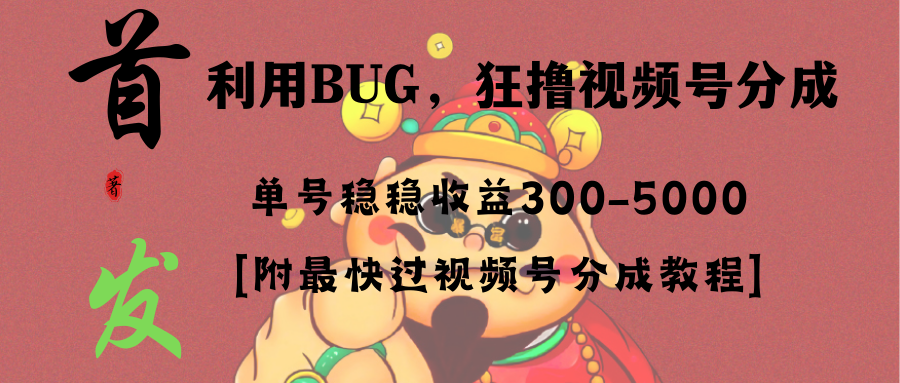 全网独家首发，视频号BUG，超短期项目，单号每日净收益300-5000！-网创资源库