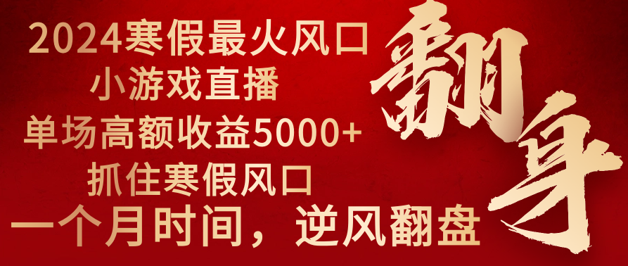 2024年最火寒假风口项目 小游戏直播 单场收益5000+抓住风口 一个月直接提车-网创资源库