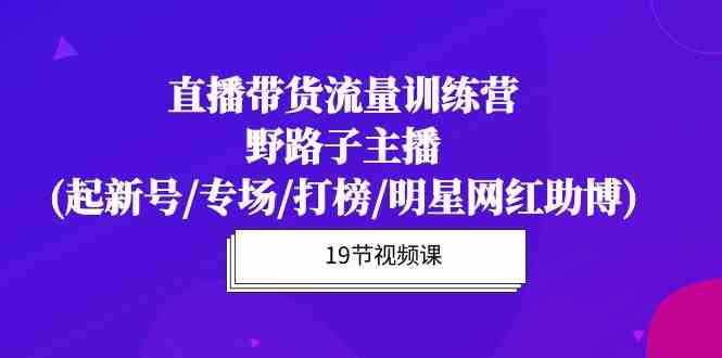 （10016期）直播带货流量特训营，野路子主播(起新号/专场/打榜/明星网红助博)19节课-网创资源库