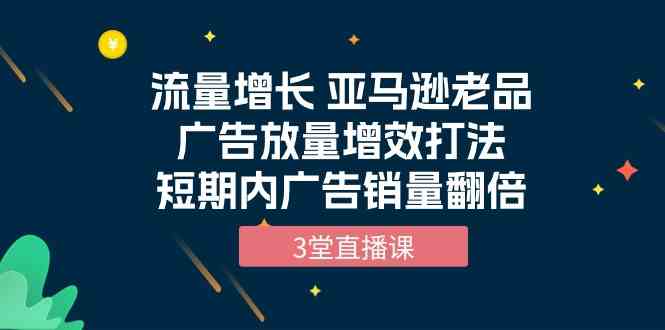 （10112期）流量增长 亚马逊老品广告放量增效打法，短期内广告销量翻倍（3堂直播课）-网创资源库