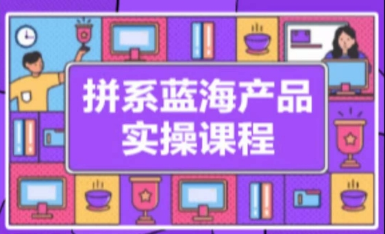 拼系冷门蓝海产品实操课程，从注册店铺到选品上架到流量维护环环相扣-网创资源库