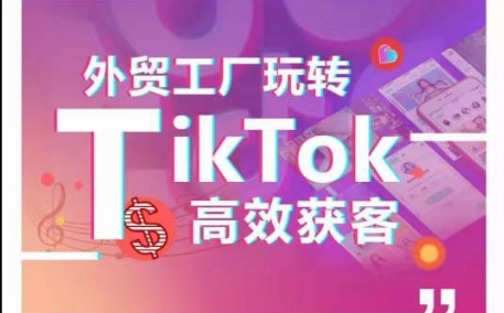 外贸工厂玩转TikTok高效获客，多种引流方式与账号定位技巧，拆解爆款短视频打造成功案例-网创资源库