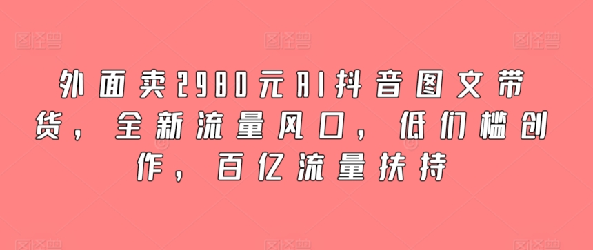 外面卖2980元AI抖音图文带货，全新流量风口，低们槛创作，百亿流量扶持-网创资源库