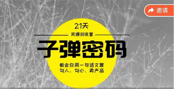 《子弹密码训练营》用一句话文案勾人勾心卖产品，21天学到顶尖文案大师策略和技巧-网创资源库