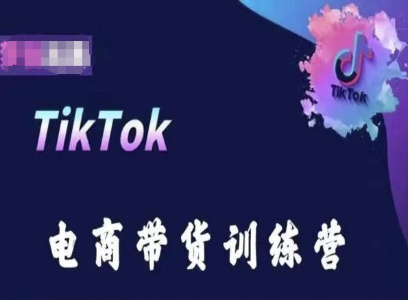 TikTok电商带货训练营，跟随时代潮流，跨境掘金-网创资源库