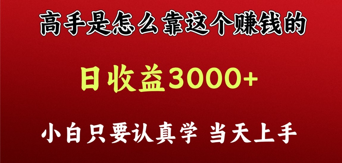 看高手是怎么赚钱的，一天收益至少3000+以上，小白当天上手-网创资源库