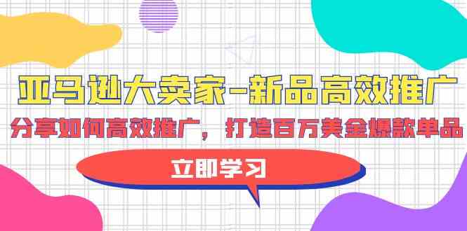 （9945期）亚马逊 大卖家-新品高效推广，分享如何高效推广，打造百万美金爆款单品-网创资源库