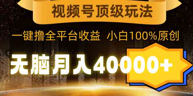 （9281期）视频号顶级玩法，无脑月入40000+，一键撸全平台收益，纯小白也能100%原创-网创资源库