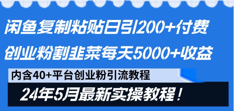 闲鱼复制粘贴日引200+付费创业粉，24年5月最新方法！割韭菜日稳定5000+收益-网创资源库