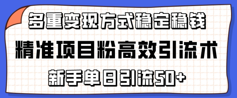 精准项目粉高效引流术，新手单日引流50+，多重变现方式稳定赚钱-网创资源库