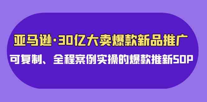 （9944期）亚马逊30亿·大卖爆款新品推广，可复制、全程案例实操的爆款推新SOP-网创资源库