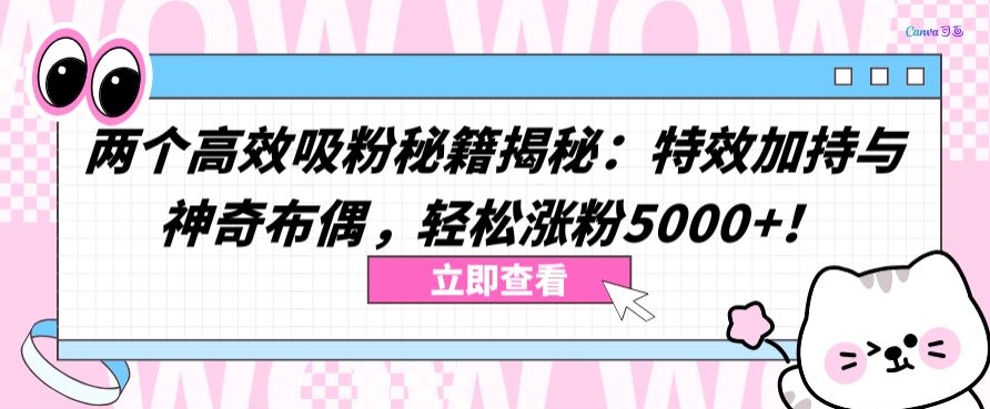 两个高效吸粉秘籍揭秘：特效加持与神奇布偶，轻松涨粉5000+-网创资源库