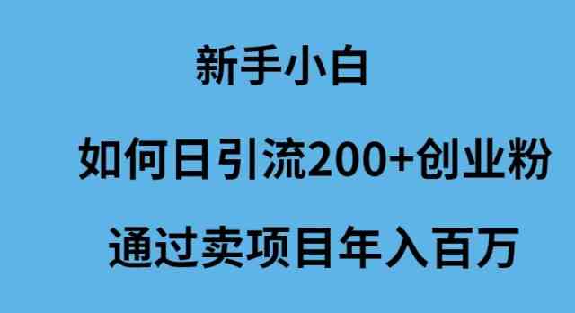 （9668期）新手小白如何日引流200+创业粉通过卖项目年入百万-网创资源库