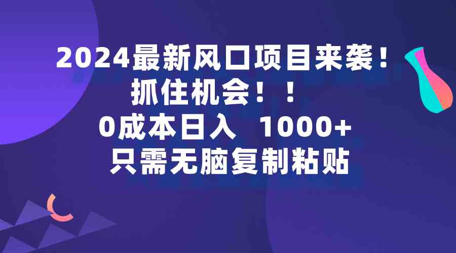 （9899期）2024最新风口项目来袭，抓住机会，0成本一部手机日入1000+，只需无脑复…-网创资源库