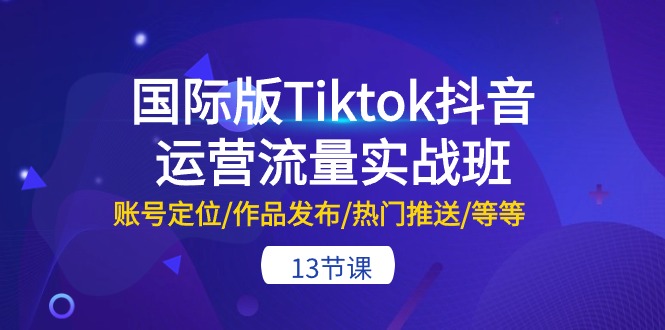 国际版Tiktok抖音运营流量实战班：账号定位/作品发布/热门推送/等等（13节）-网创资源库