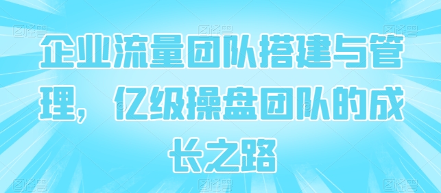 企业流量团队搭建与管理，亿级操盘团队的成长之路-网创资源库