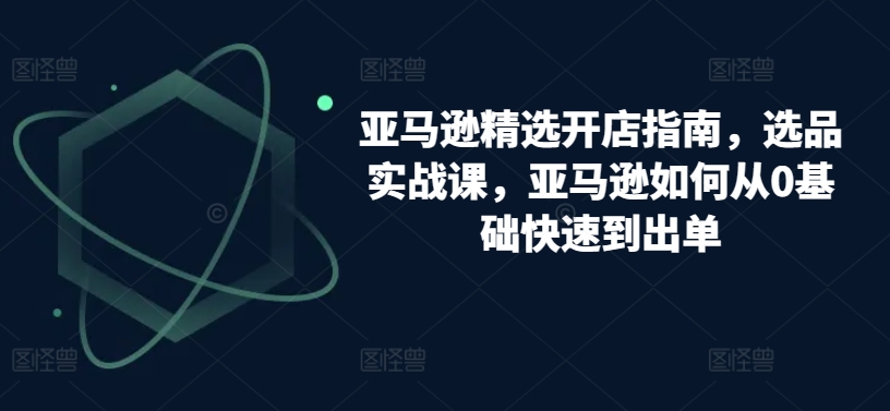 亚马逊精选开店指南，选品实战课，亚马逊如何从0基础快速到出单-网创资源库