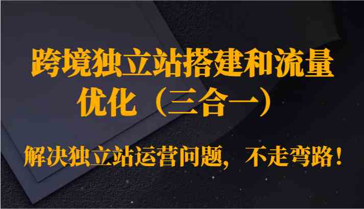 跨境独立站搭建和流量优化（三合一）解决独立站运营问题，不走弯路！-网创资源库