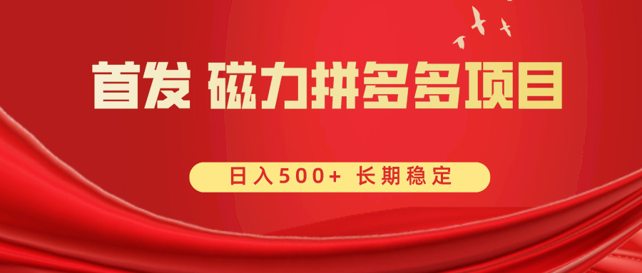 首发 磁力拼多多自撸 日入500+-网创资源库