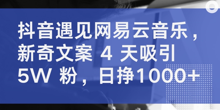 抖音遇见网易云音乐，新奇文案 4 天吸引 5W 粉，日挣1000+-网创资源库