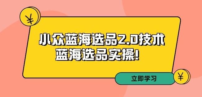 拼多多培训第33期：小众蓝海选品2.0技术-蓝海选品实操！-网创资源库