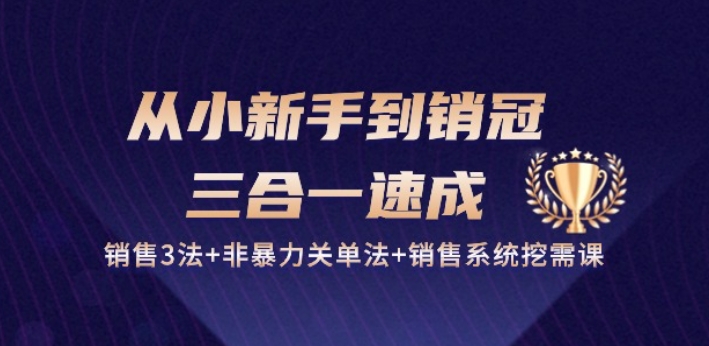 从小新手到销冠 三合一速成：销售3法+非暴力关单法+销售系统挖需课 (27节)-网创资源库