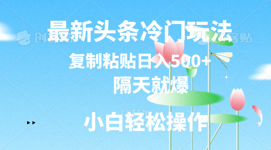 最新头条冷门玩法，隔天就爆，复制粘贴日入500+-网创资源库