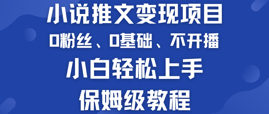 小说推文变现项目 0基础 不开播 小白轻松上手 保姆级教程-网创资源库