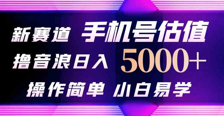 （10154期）抖音不出境直播【手机号估值】最新撸音浪，日入5000+，简单易学，适合…-网创资源库