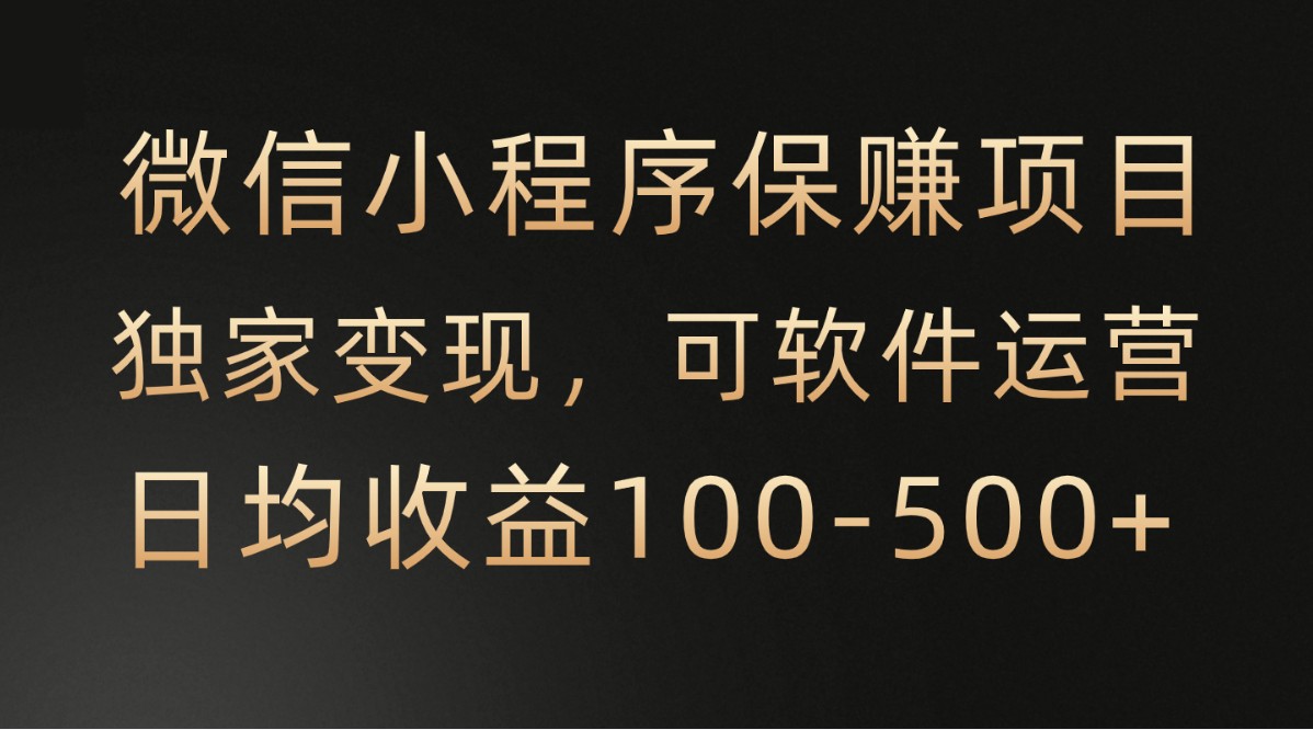 微信小程序，腾讯保赚项目，可软件自动运营，日均100-500+收益有保障-网创资源库