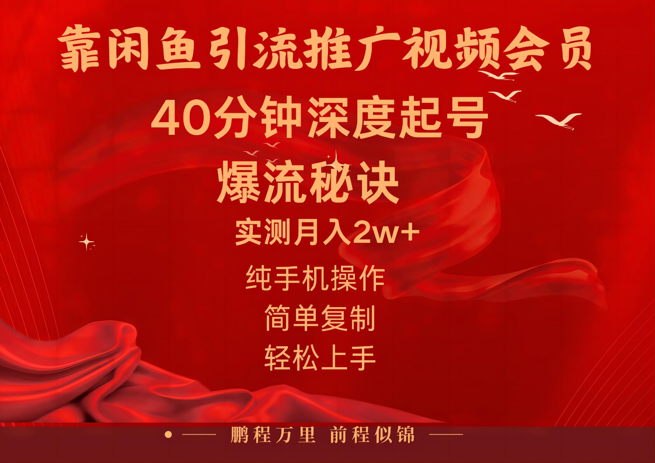 闲鱼暴力引流推广视频会员，能做到日入2W+，操作简单-网创资源库