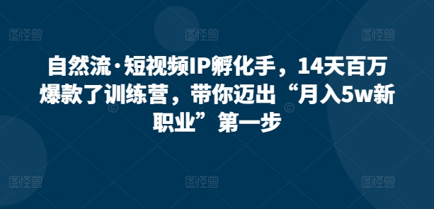 自然流·短视频IP孵化手，14天百万爆款了训练营，带你迈出“月入5w新职业”第一步-网创资源库