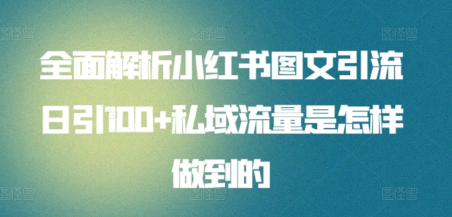 全面解析小红书图文引流日引100+私域流量是怎样做到的-网创资源库